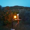 Dino Table - Image 8