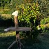 Dino Table - Image 10