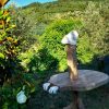 Dino Table - Image 6
