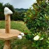 Dino Table - Image 4