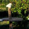 Dino Table - Image 2